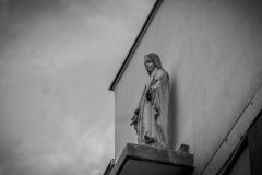 IMG_6129-scaled